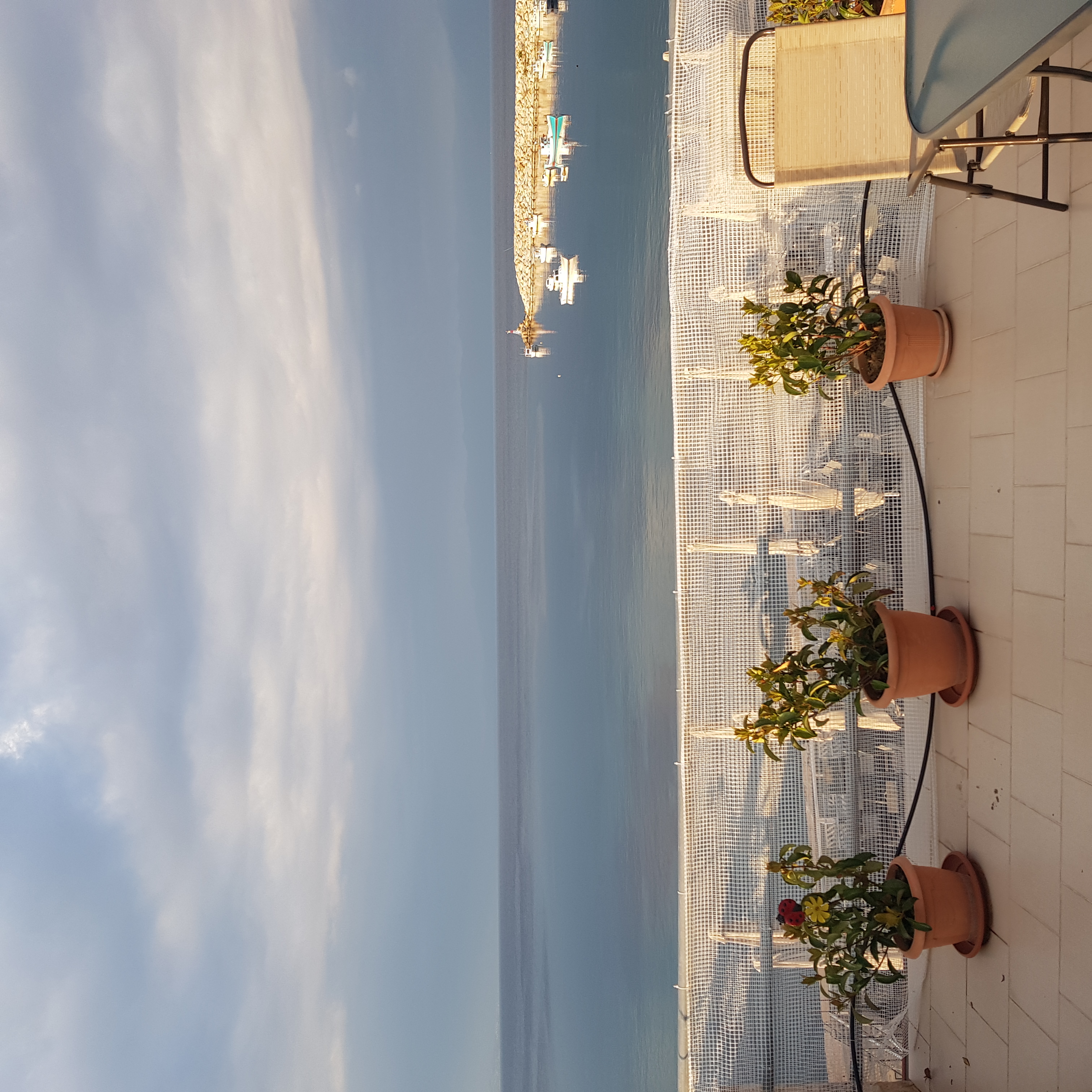 Terrace with potted plants and harbour view