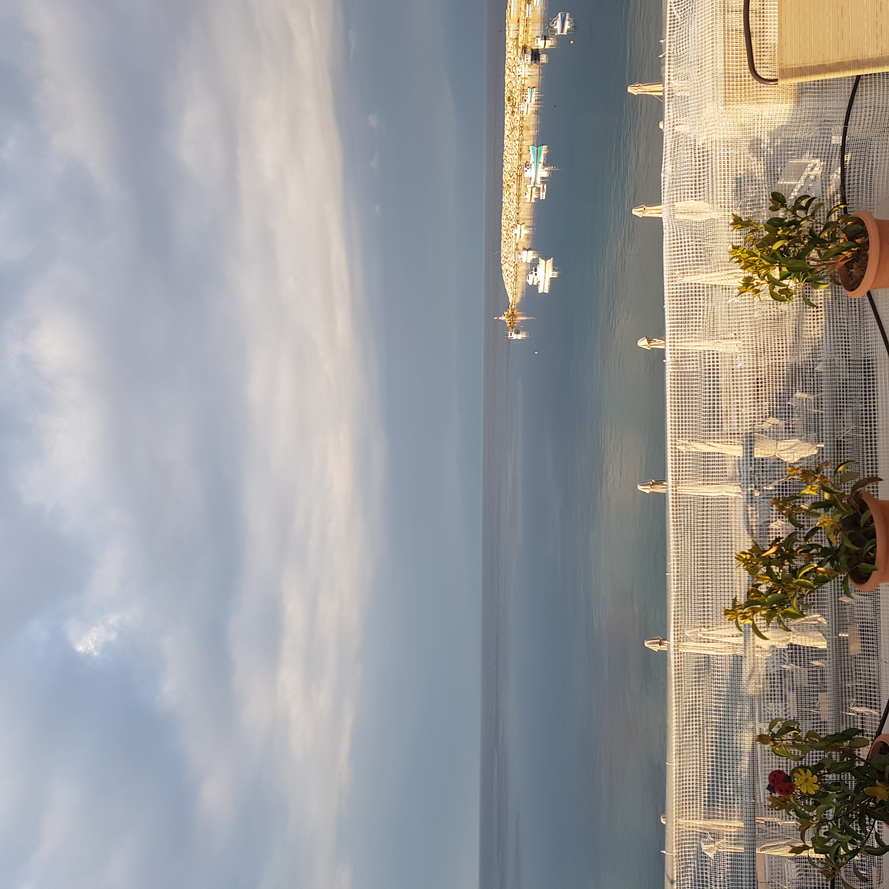 Wide sea and harbour view from the terrace