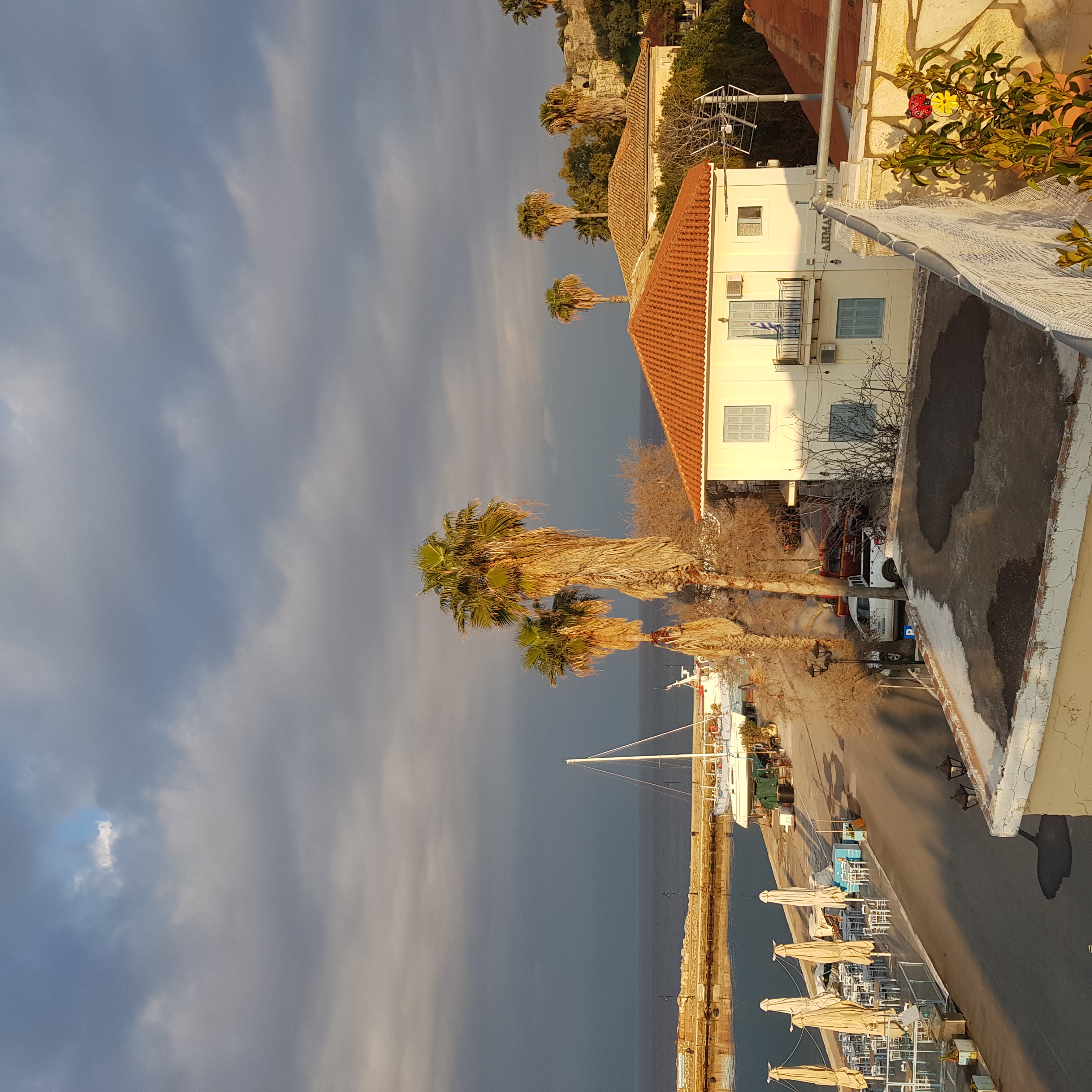Harbour with palm trees and buildings at golden hour