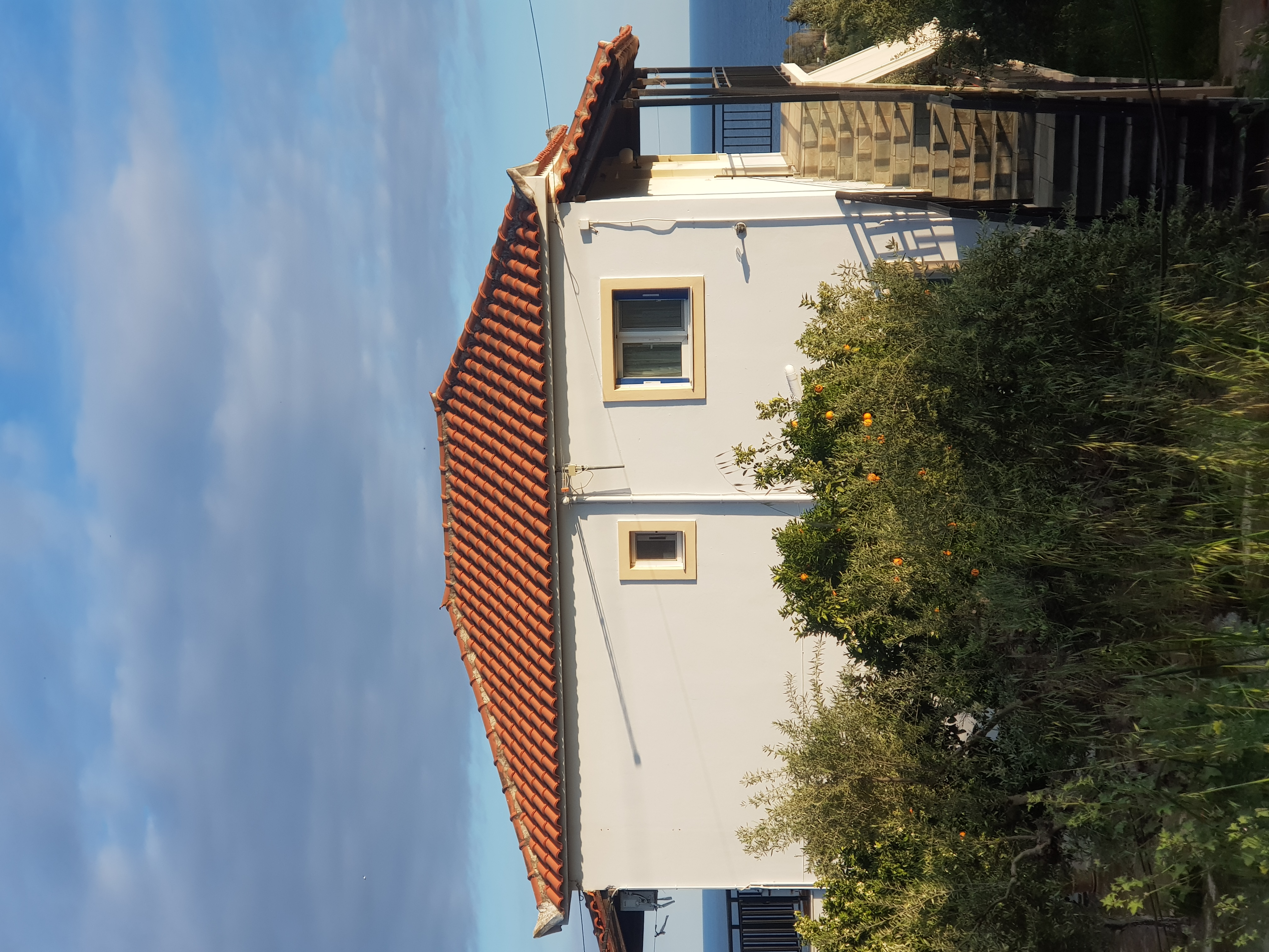 Exterior of building with olive trees and sea beyond